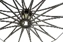 Singing black zoom basse def.webp