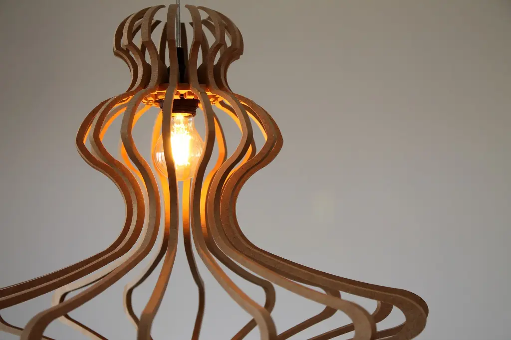 Woman S Zoom éclairee.webp