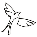 Birds of paradise lampshade black