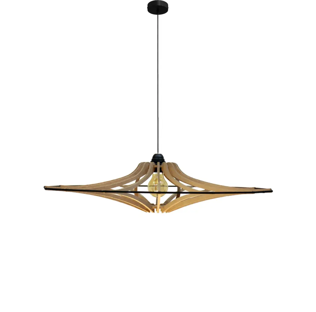 Pendant lamp Singing Brut S D65cm